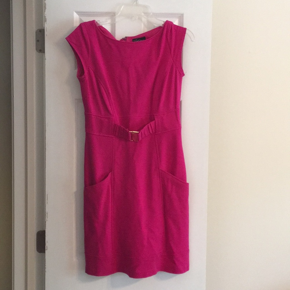 Cache Pink Belted Dress With Pockets Size 8